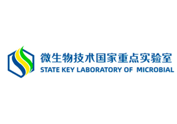 山东大学国家重点试验室品牌网站